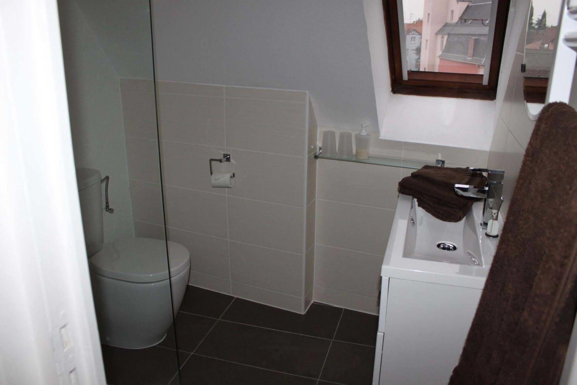 Les Appartements De Home Petite Venise Колмар Екстериор снимка